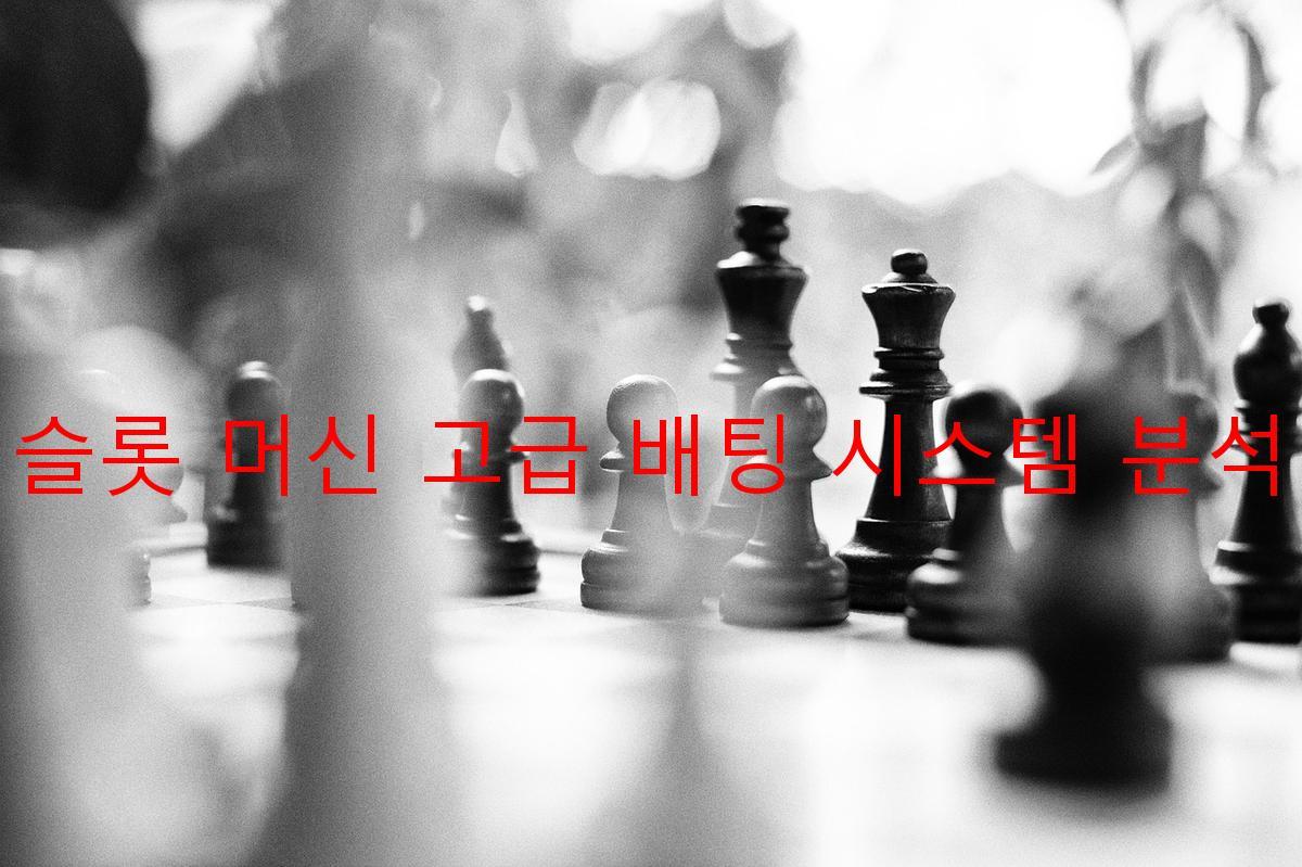 슬롯 머신 고급 배팅 시스템 분석