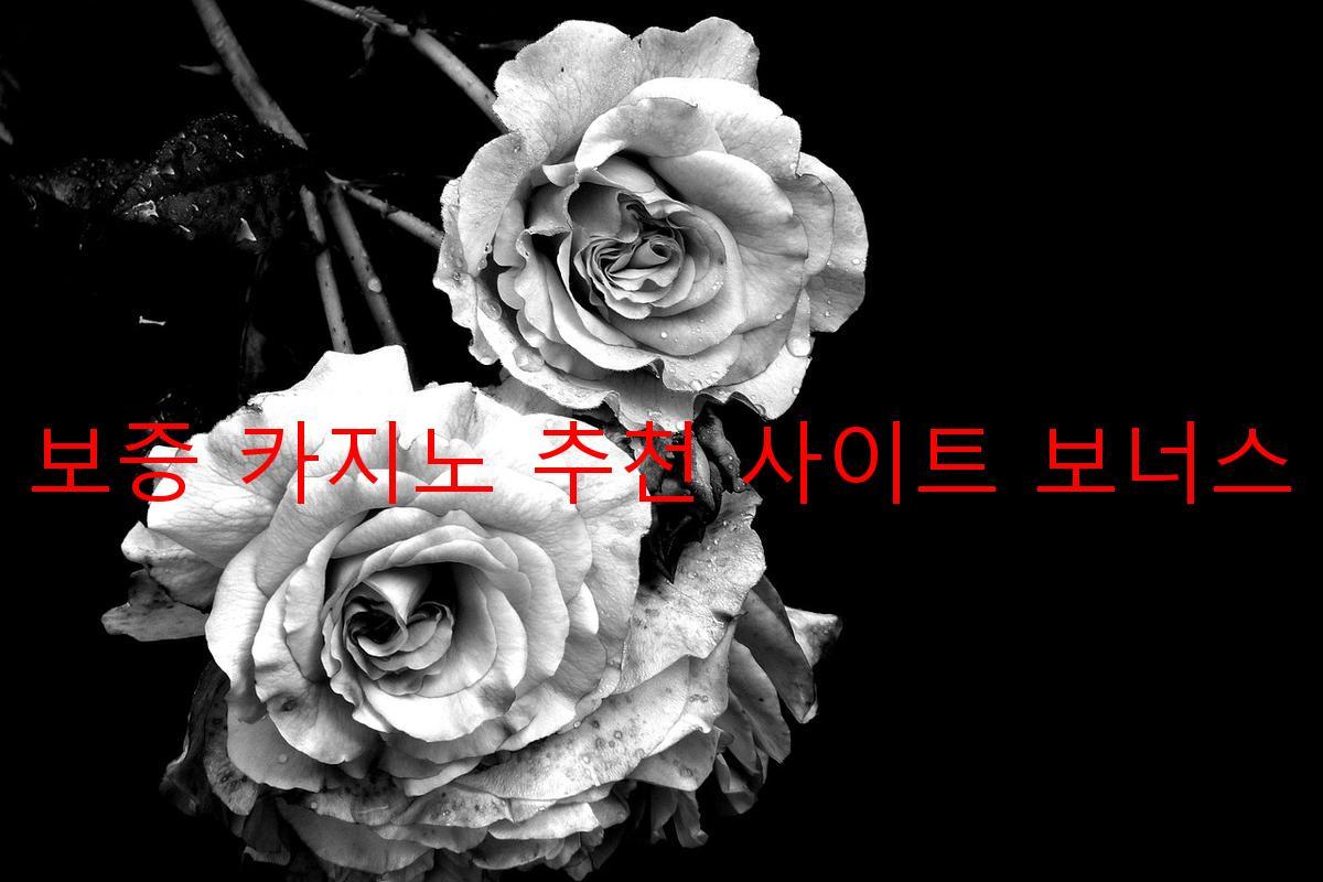 보증 카지노 추천 사이트 보너스