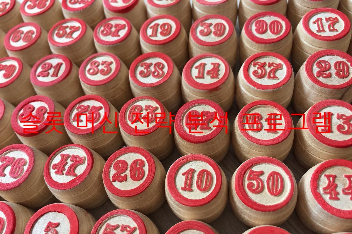 슬롯 머신 전략 분석 프로그램