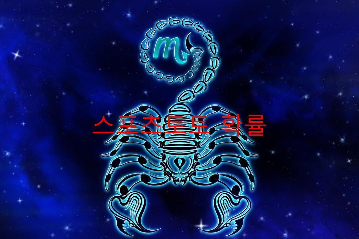 스포츠토토 확률