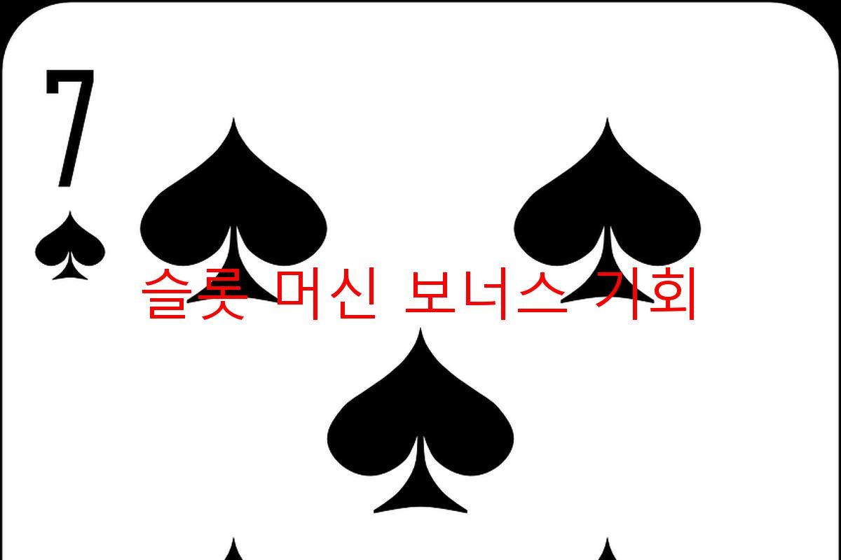 슬롯 머신 보너스 기회