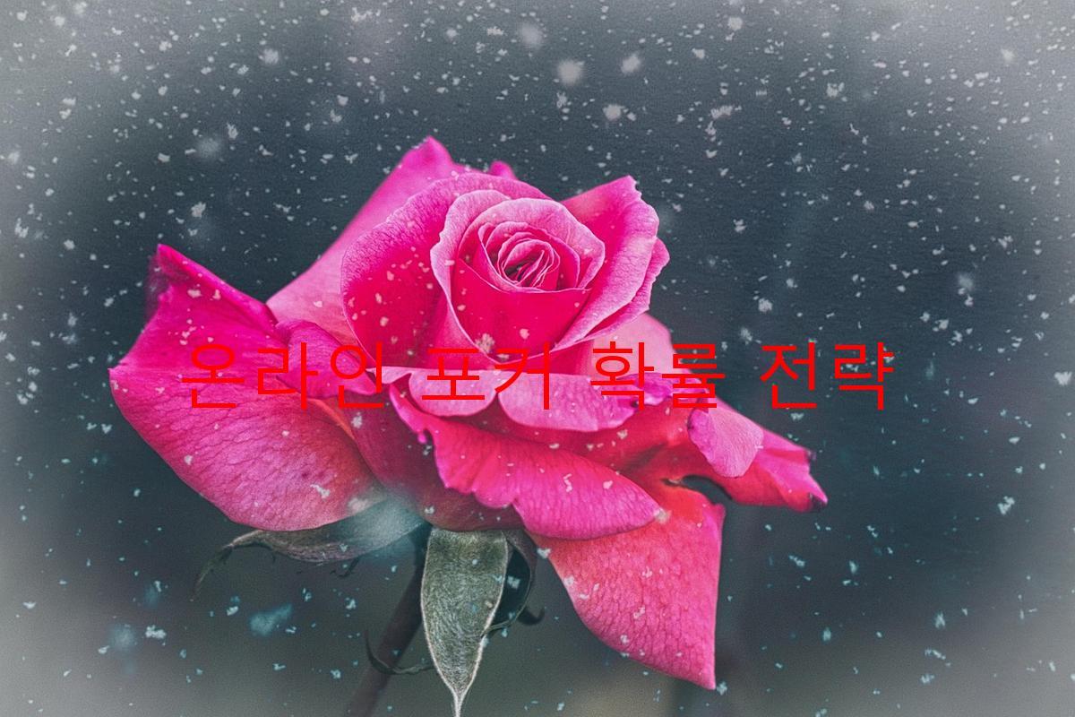 온라인 포커 확률 전략