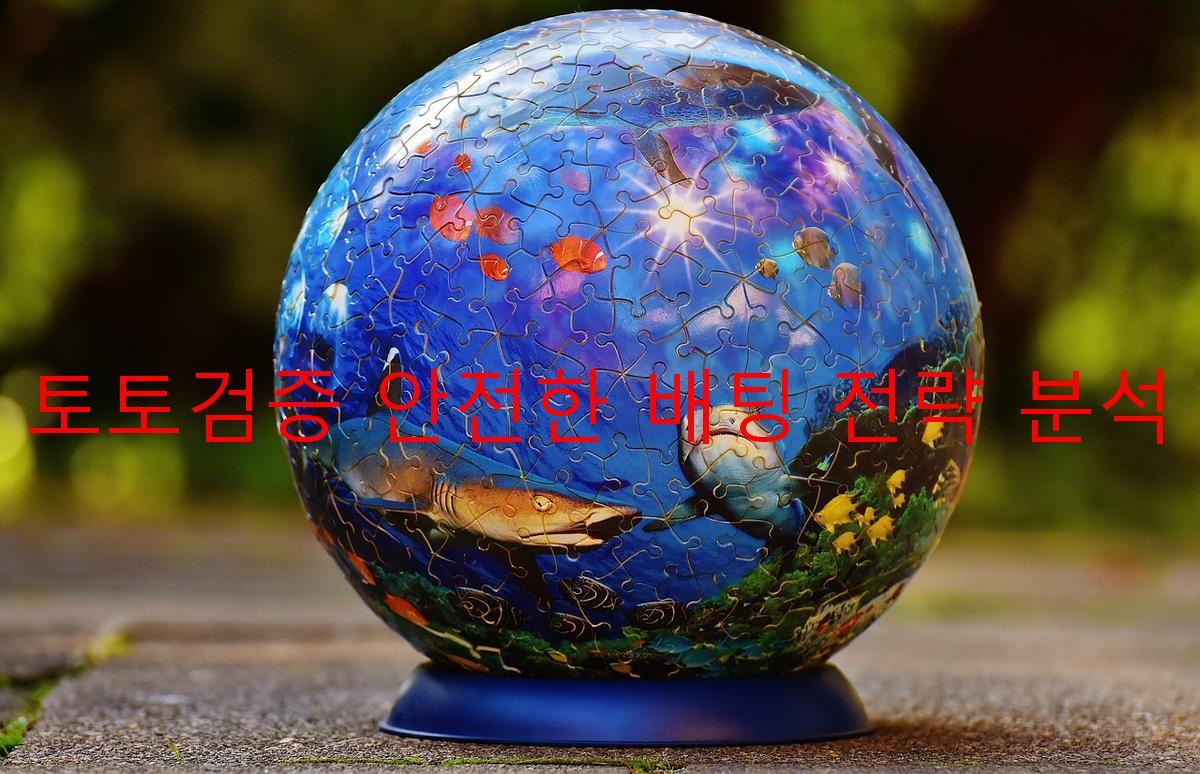 토토검증 안전한 배팅 전략 분석