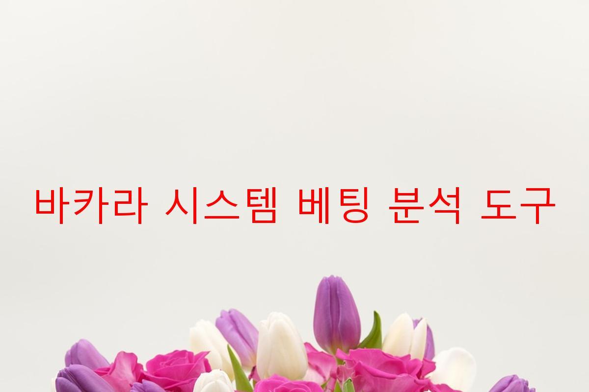 바카라 시스템 베팅 분석 도구