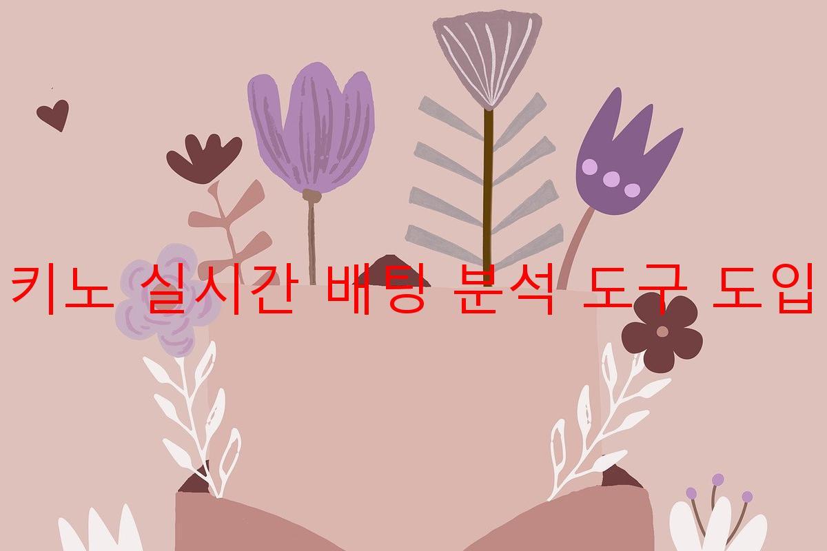 키노 실시간 배팅 분석 도구 도입