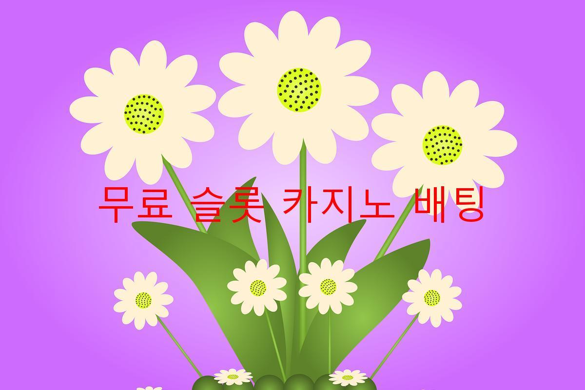 무료 슬롯 카지노 배팅