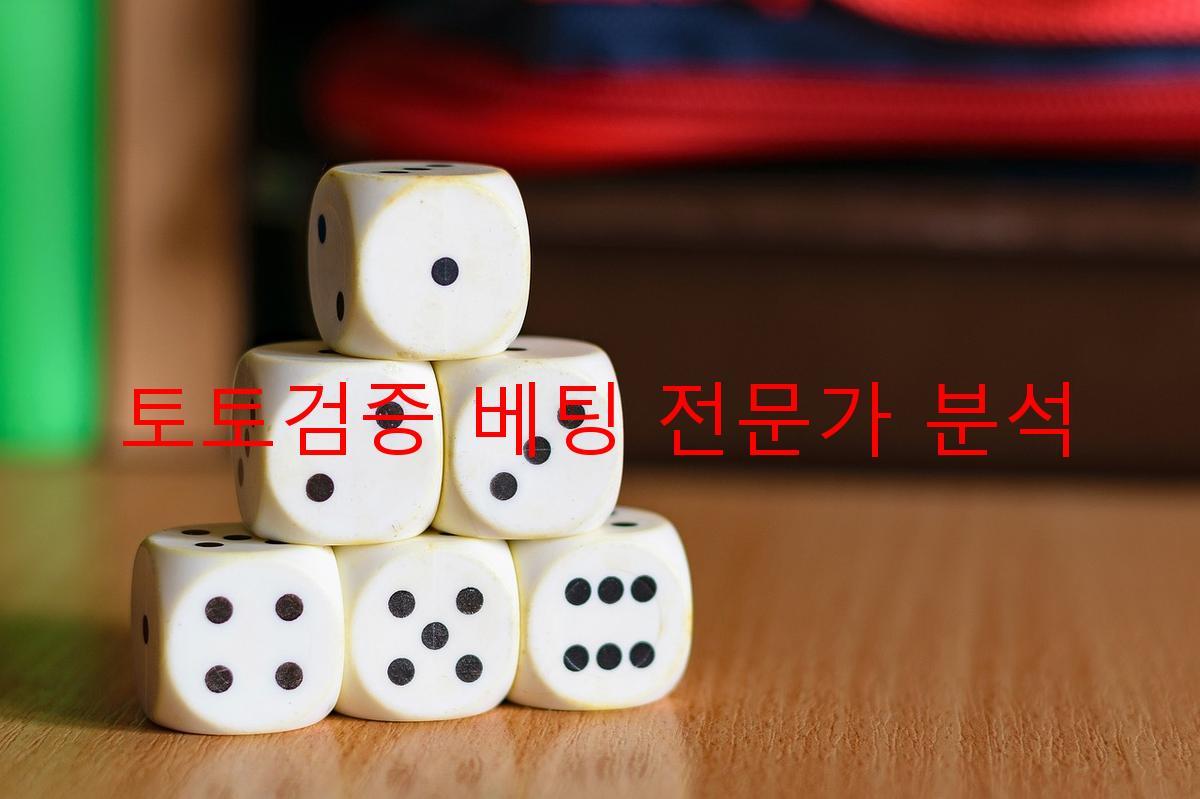 토토검증 베팅 전문가 분석