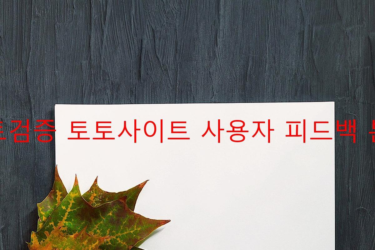 토토검증 토토사이트 사용자 피드백 분석