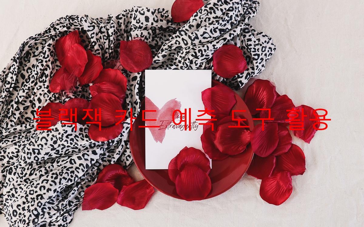 블랙잭 카드 예측 도구 활용