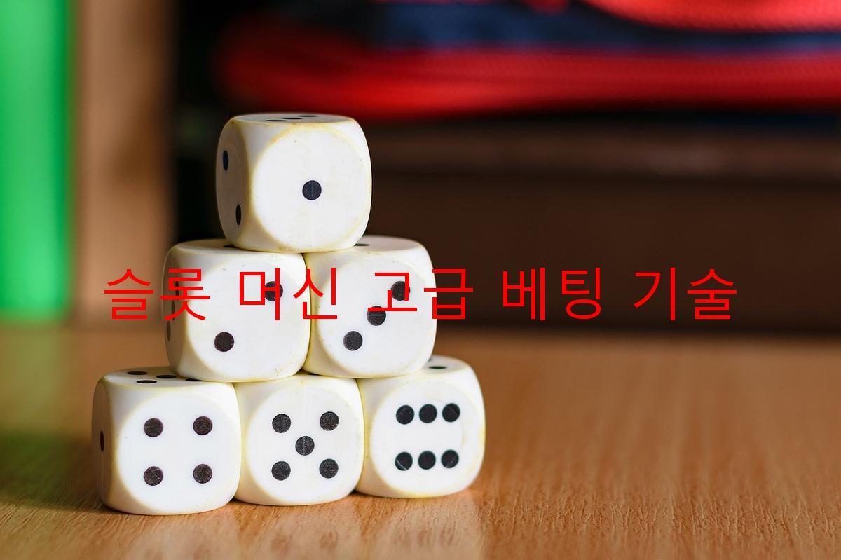 슬롯 머신 고급 베팅 기술