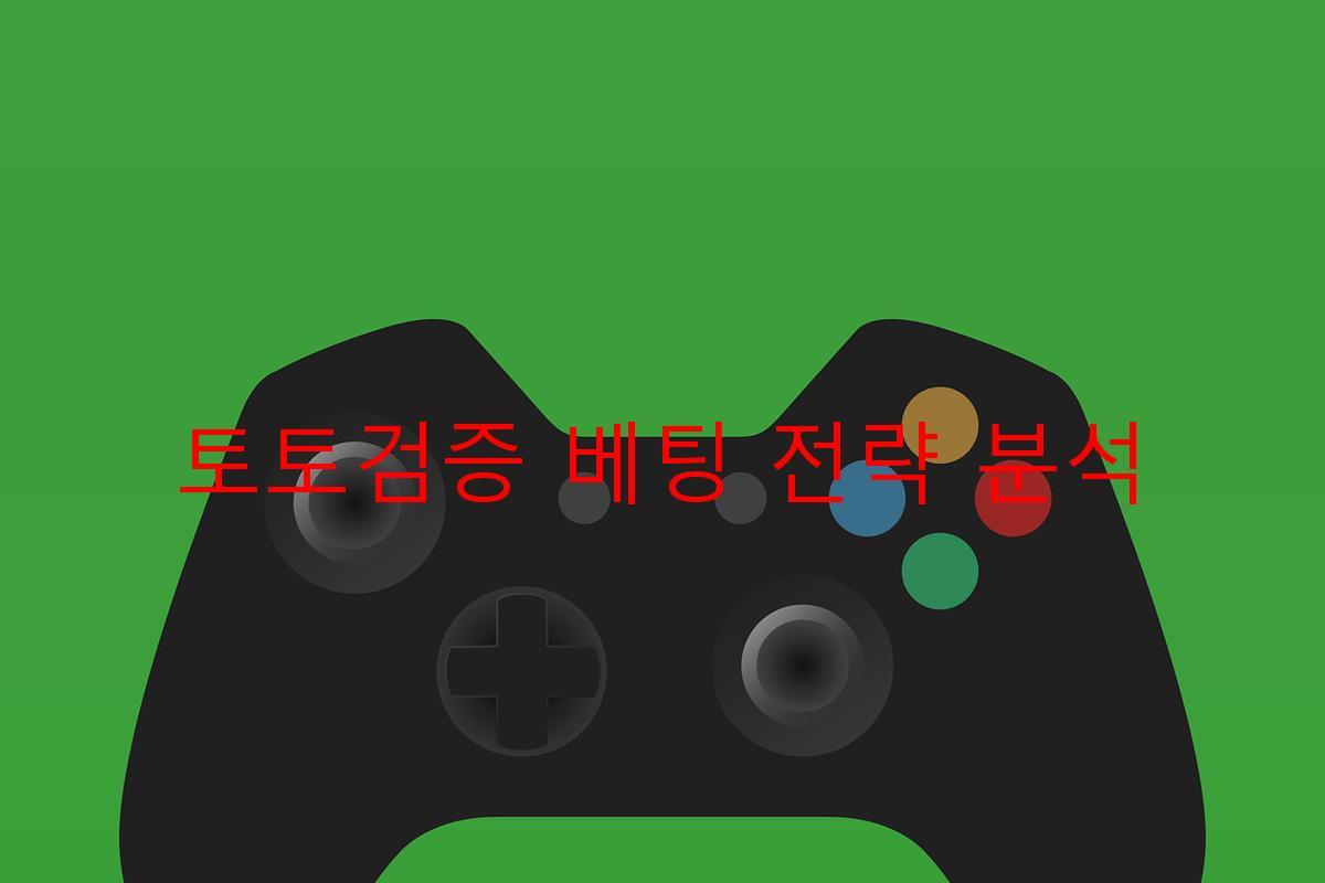 토토검증 베팅 전략 분석