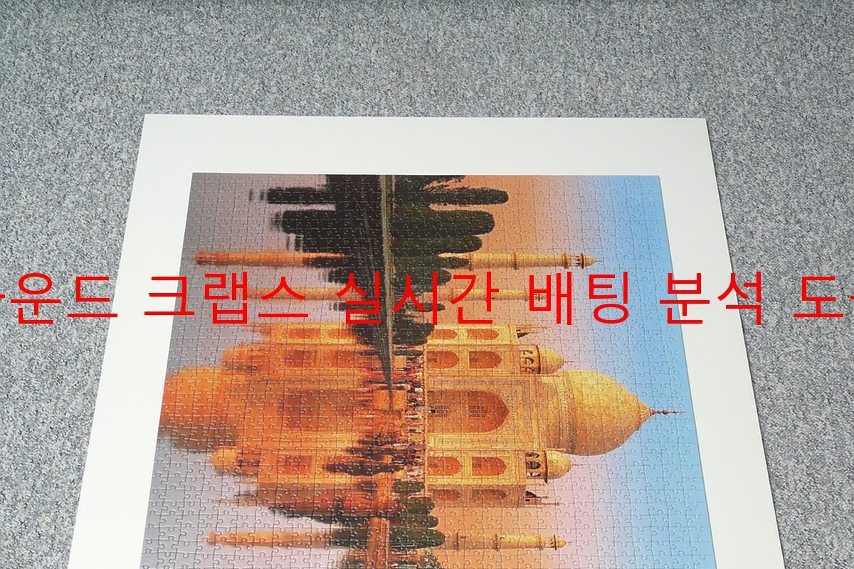 라운드 크랩스 실시간 배팅 분석 도구