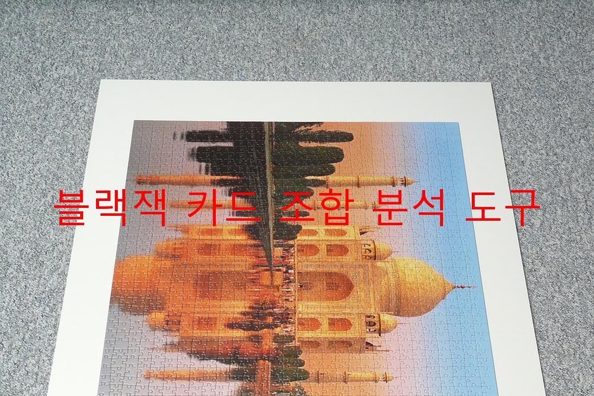 블랙잭 카드 조합 분석 도구