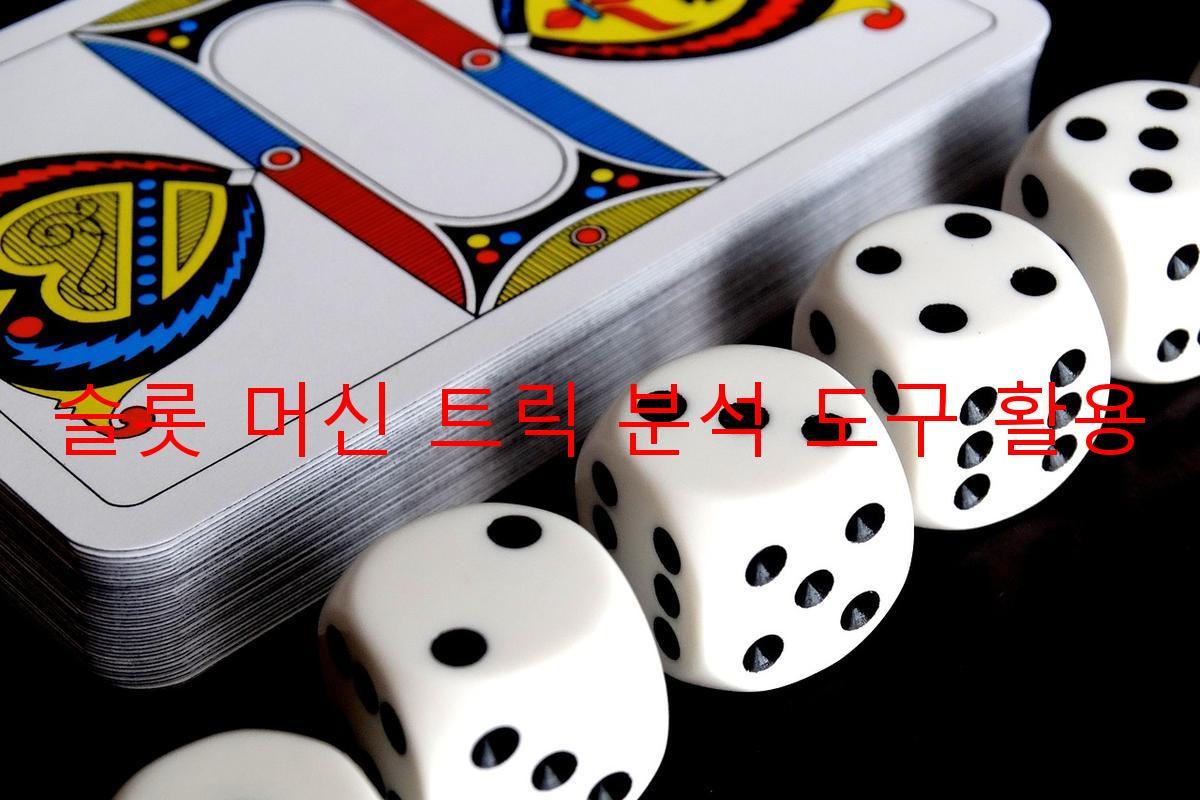 슬롯 머신 트릭 분석 도구 활용