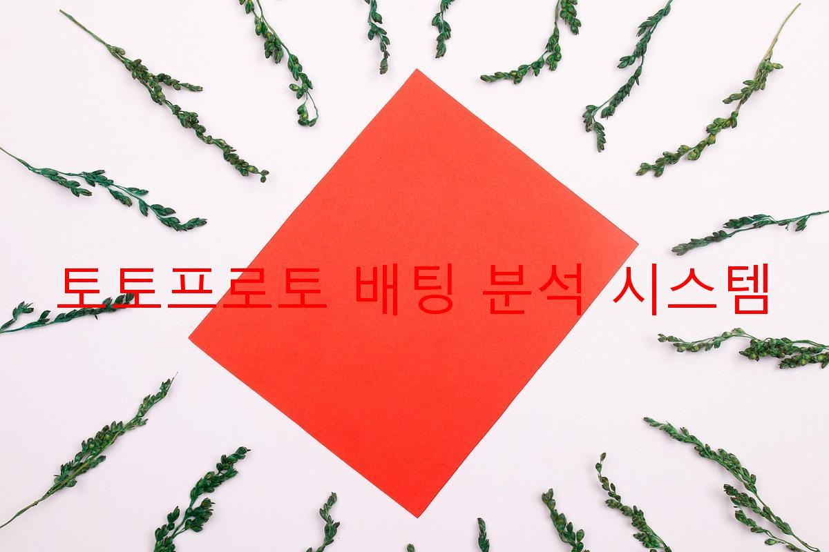 토토프로토 배팅 분석 시스템