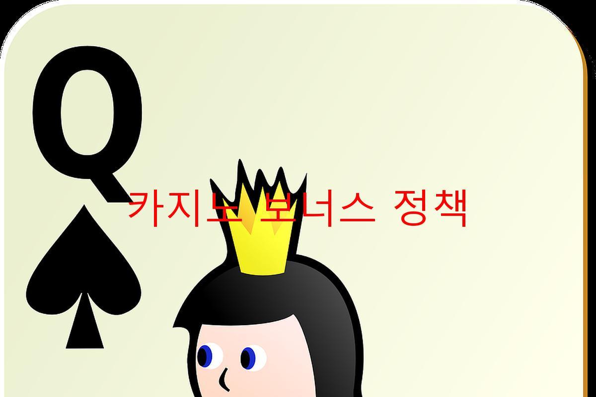 카지노 보너스 정책