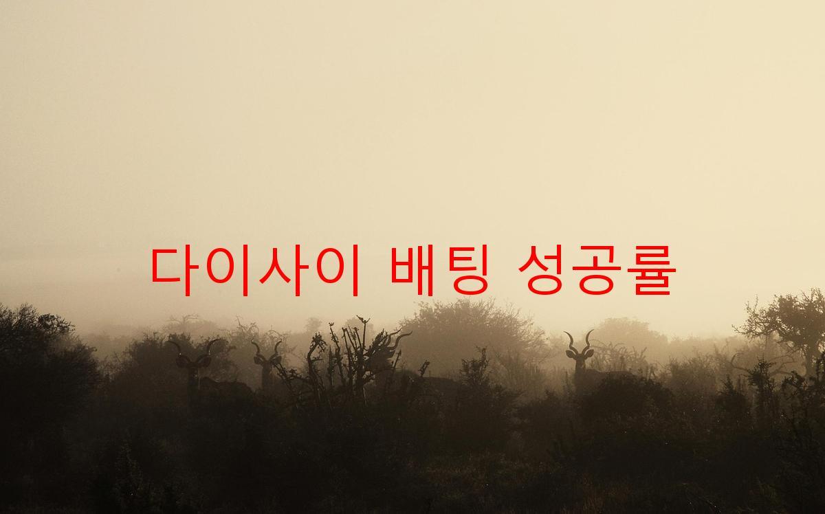 다이사이 배팅 성공률