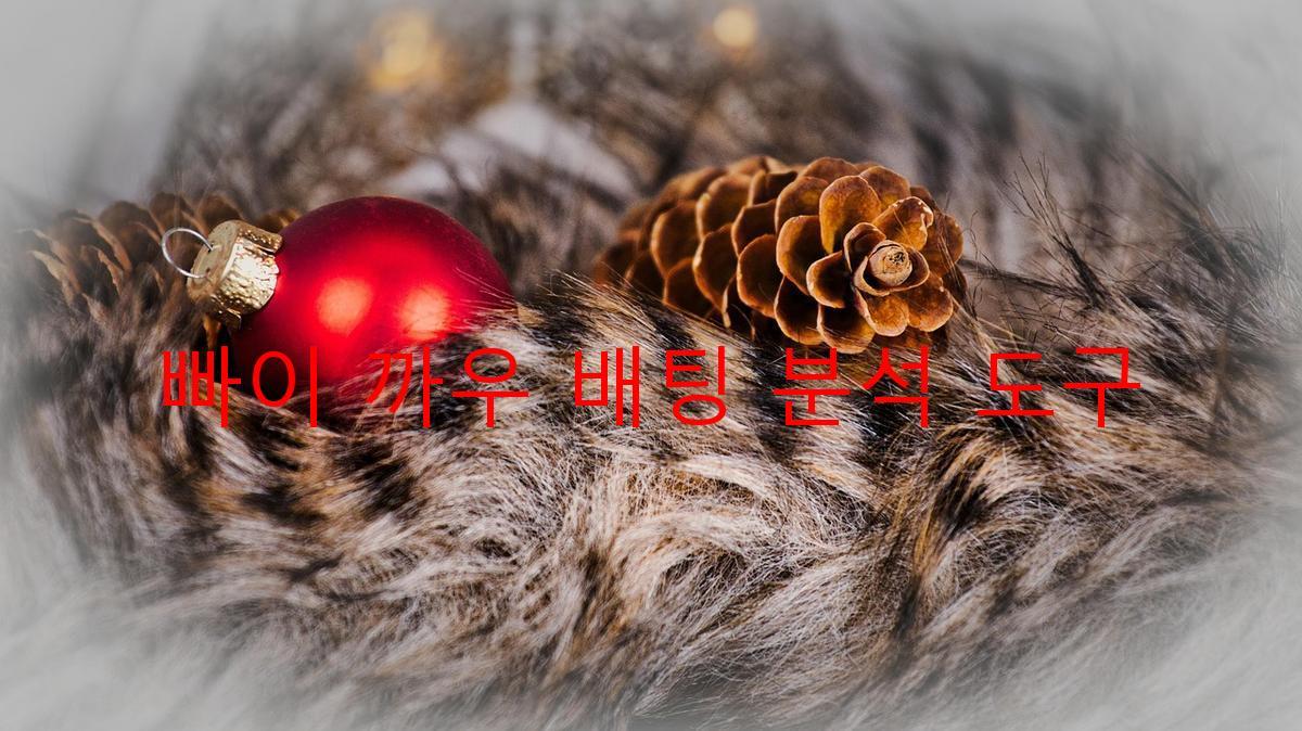 빠이 까우 배팅 분석 도구