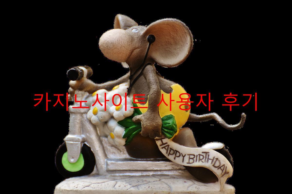 카지노사이트 사용자 후기