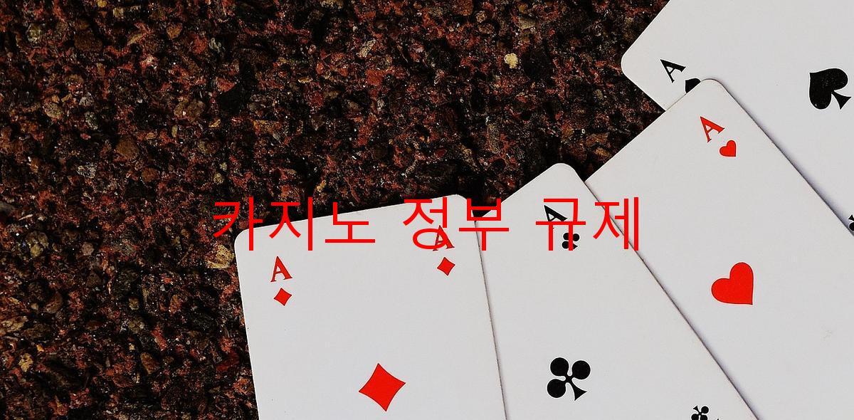 카지노 정부 규제