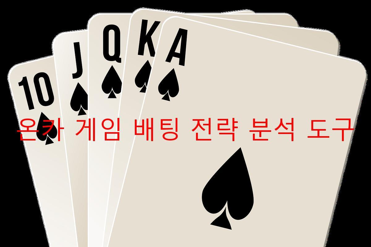 온카 게임 배팅 전략 분석 도구